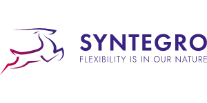 Syntegro
